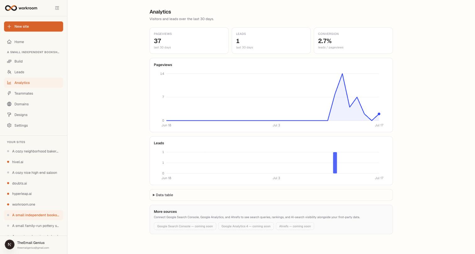 The Analytics page with pageview, lead, and conversion stat tiles, a pageviews line chart, a leads bar chart, and a More sources card